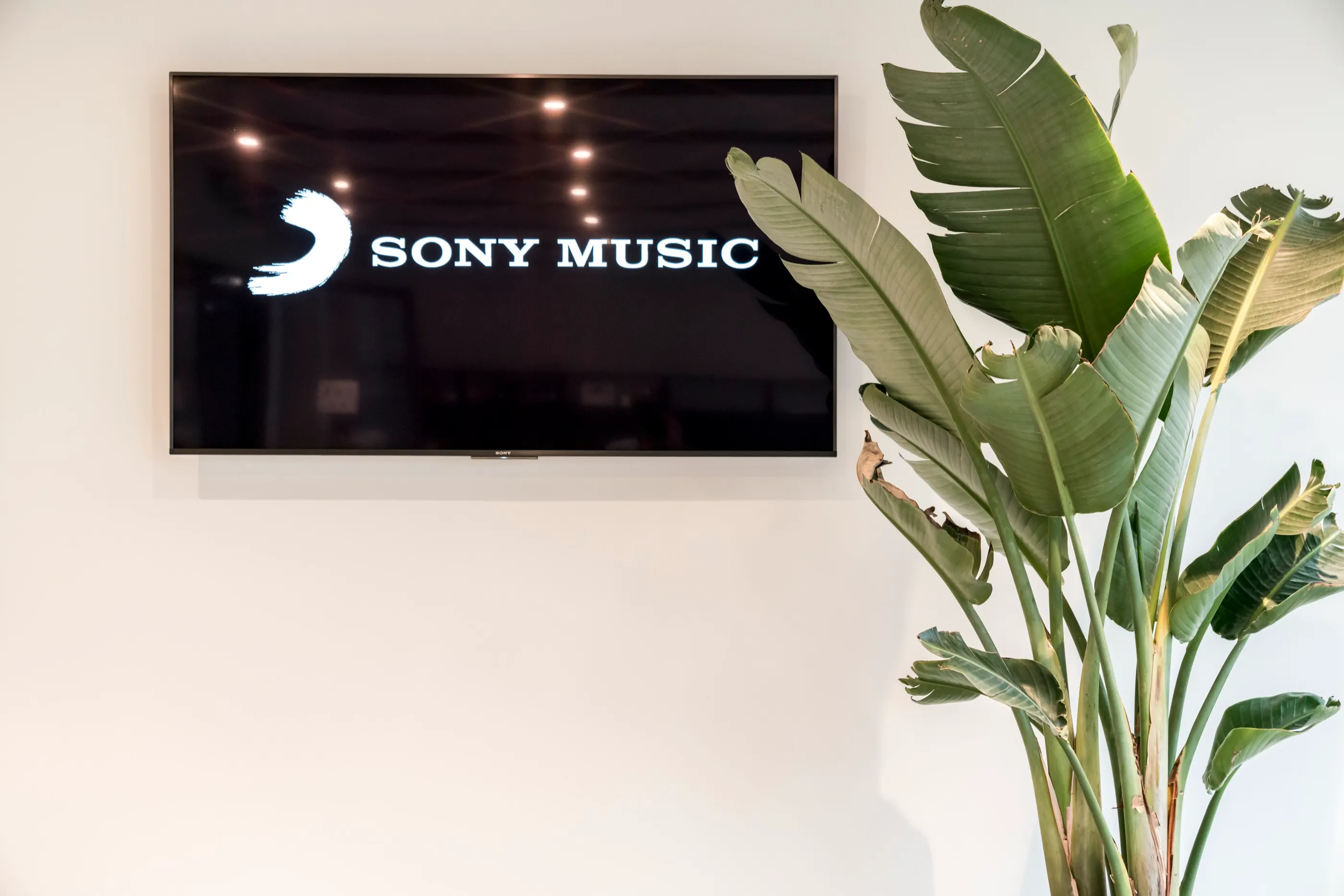 Sony Music logo on a wall-mounted screen beside a large plant